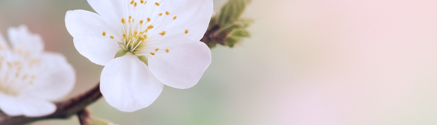 Design ohne Titel(8)