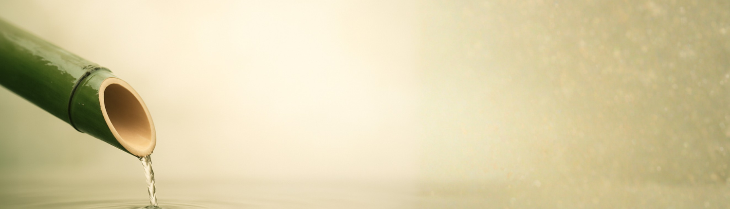 Leber-Qigong-TianAiQigong