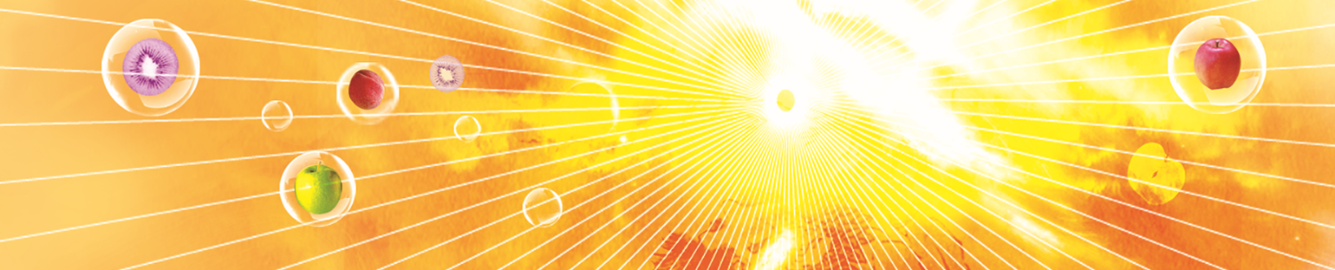 Bi_Gu_Tian Ai Qigong_Landingpage