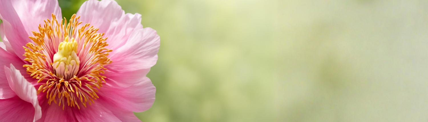 Erdemeditation_Mai_2026_Tian Ai Qigong