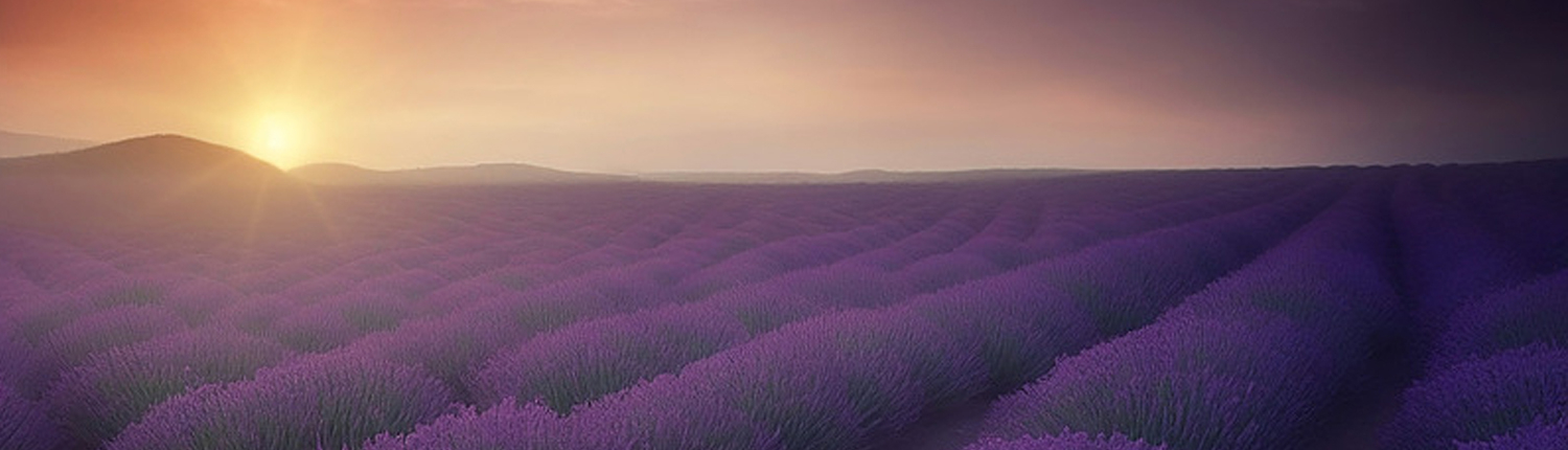 Lavendel Silder